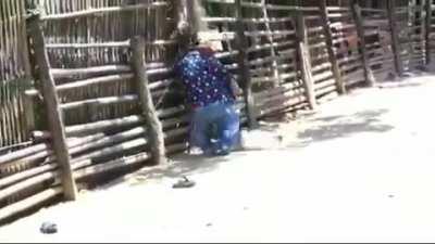 A revolta de um ninja 😎