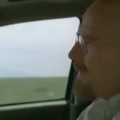 Walter whit listening to angry birds song