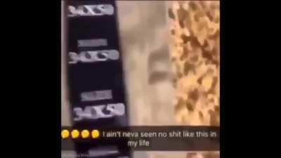 German POWs on the Western Front in 1944 reacting to the massive Allied logistics convoys