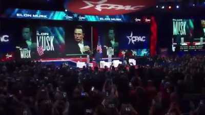 Aparece un Milei salvaje a darle la motosierra a Elon Musk