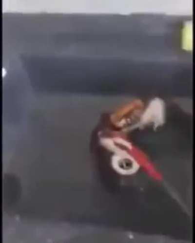 Pelea a muerte con cuchillos? Pelea a muerte con cuchillos