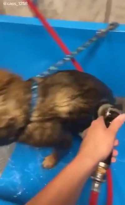 It still seems fun though