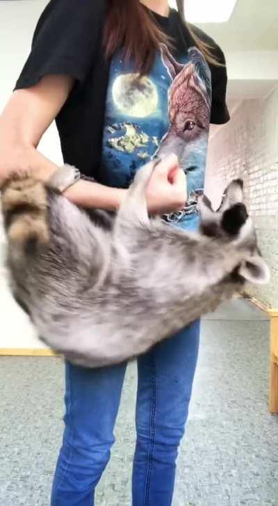 look at that pure joy!