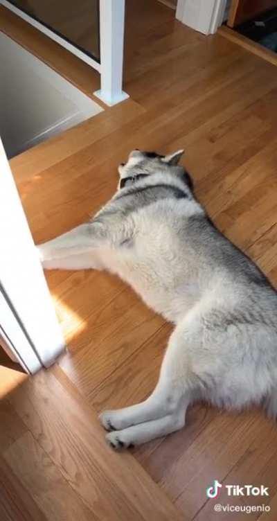 You can't joke about leaving