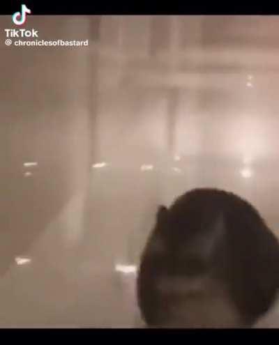 cat of the day 168 (common brainrot)