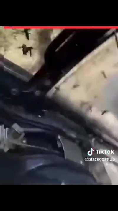 Tom and jerry scream 💀💀