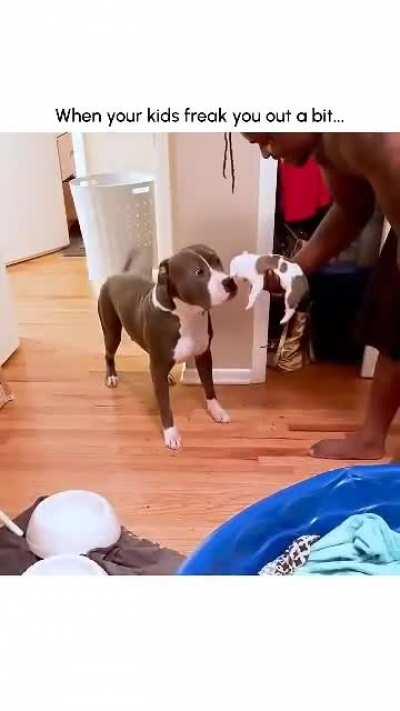 The Dog Mom gets scared after meet her puppy!