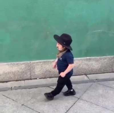 Anao Frio e Calculista