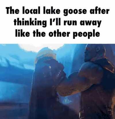 Appreciating the local wildlife