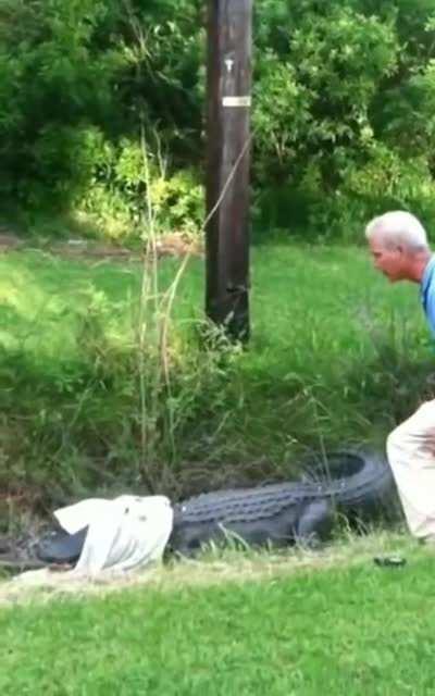 grandad trued to catch an alligator
