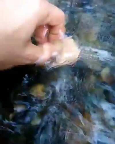 Here is a short video that did not go according to plan, and thats why I like it.