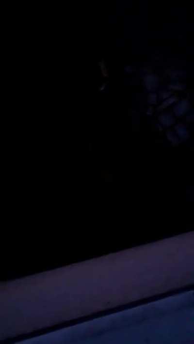 Cursed_party my neighbours have