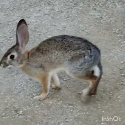 Saw dozens just today. These were my favs.