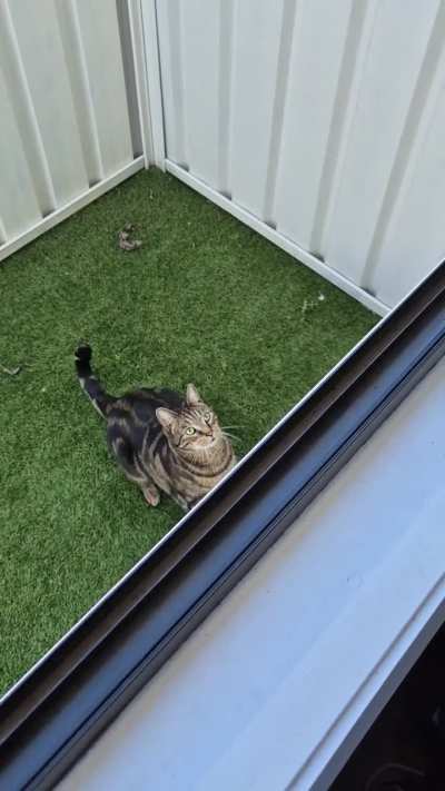 Took the screen out of the window.