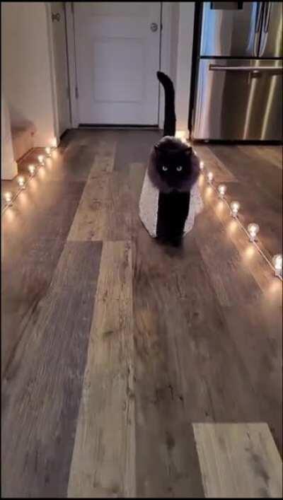 Me showing up late and uninvited