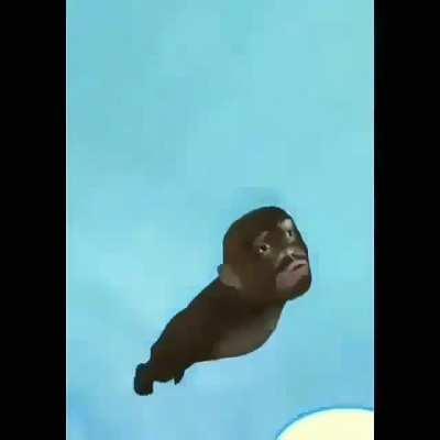 Título foda (não tenho zelda)