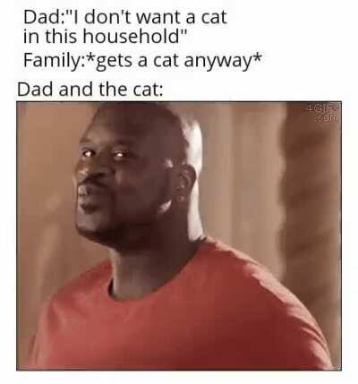 You've probably seen this meme a lot of times but the gif is so kool!