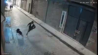 cuando estas idiota y te quieres desquitar con in indefenso perritu 😡