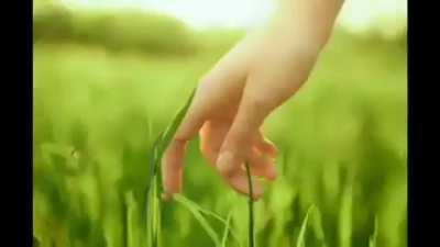 grass leleeeleleeelllllllllllllllllllleeleeleleleelelelelelelelelelllleelelelleelleelelelel