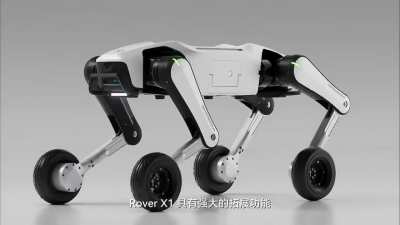 Новый робопёс Rover X1 анонсирован по цене всего $1000, что делает его доступнее смартфона премиум-класса. Робот, оснащённый системой камер для распознавания объектов и съёмки, предназначен для роли домашнего помощника, охранника или компаньона.