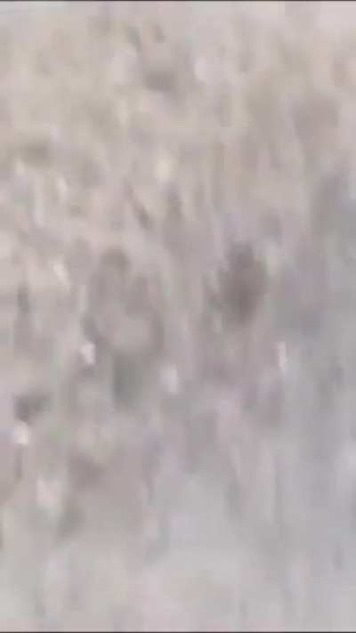 What's this getting touched fetish ?