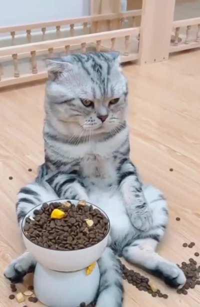 Same old sh*t everyday