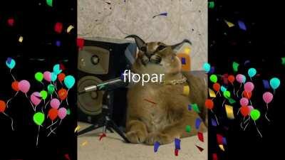 flopar