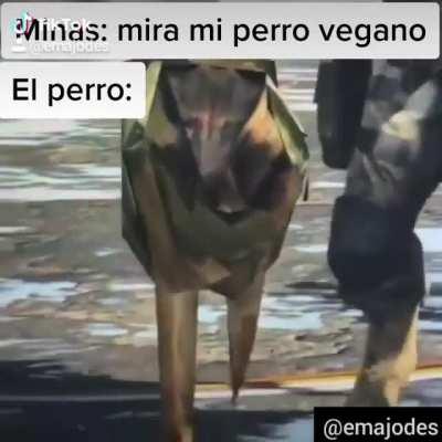 Veganos... xdxd