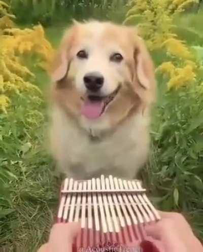 Hey clams, take a break and look at this