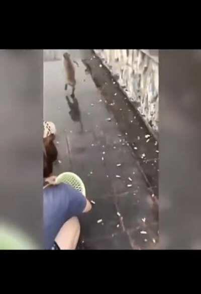 Another victim of wet pavement ;(