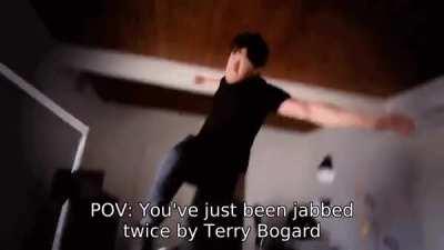 POV: You've just been jabbed twice by Terry Bogard