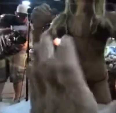 Young Brooke Adams was wild