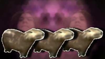 made this after seeing a video of a capybara sitting in a bucket because its rotund nature reminded me of my favorite streamer - with love, :)