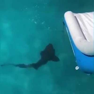 Well... what happened!?