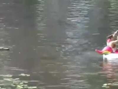 Eu já morreria no unicórnio