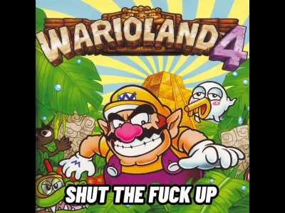 i fucking love wario land 4