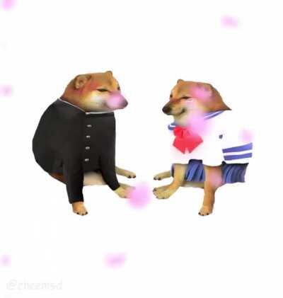 Le having to move on arrived