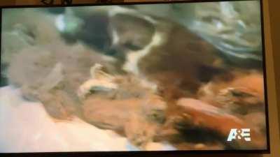 WARNING! Beyond awful.