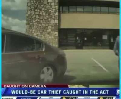 Would-be car thief wins stupid prizes.