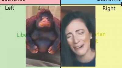 Libcenter's emotional conversation