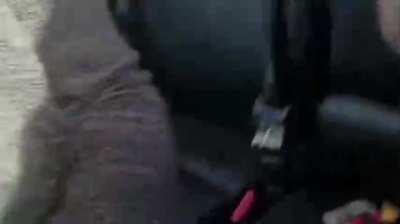 She owns him now 😈