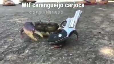 Raposito tá criando caranguejo?