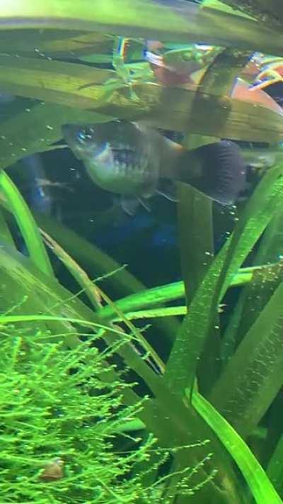 Not something you’ll catch on video often