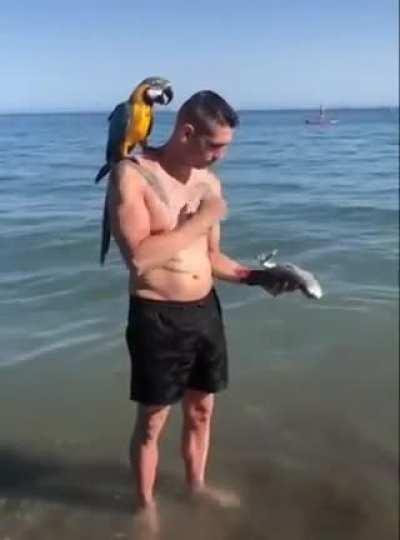 SADIStIC mAn JuGGLes biRd bEFOre ShooTING IT dEaD