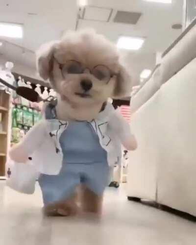 The doctor's coming! The doctor's coming!