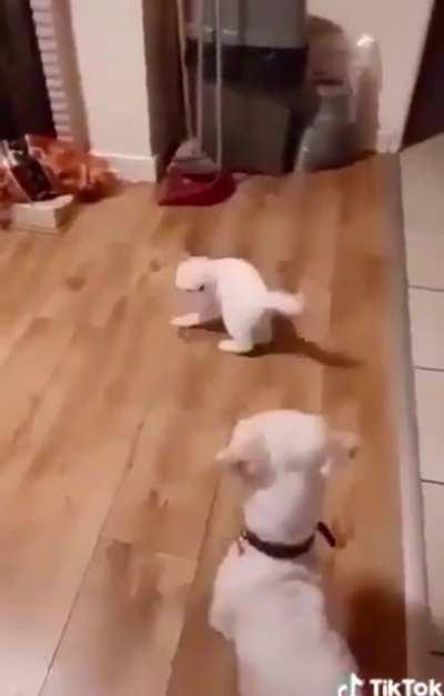 The Drama Queen Award Goes To: