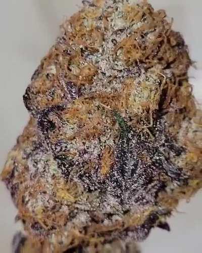 The family gets together every 4th of July and my cousin and I always sneak off to throw down and see who has the best bud. My most recent harvest dried just in time and I think I've got him beat this year