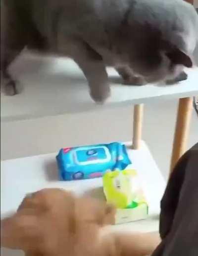 Crime and Punishment