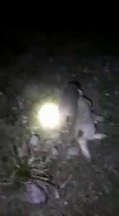 La Pampa, Argentina.