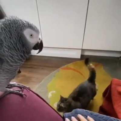 Work Smart Not Hard ( with sound )